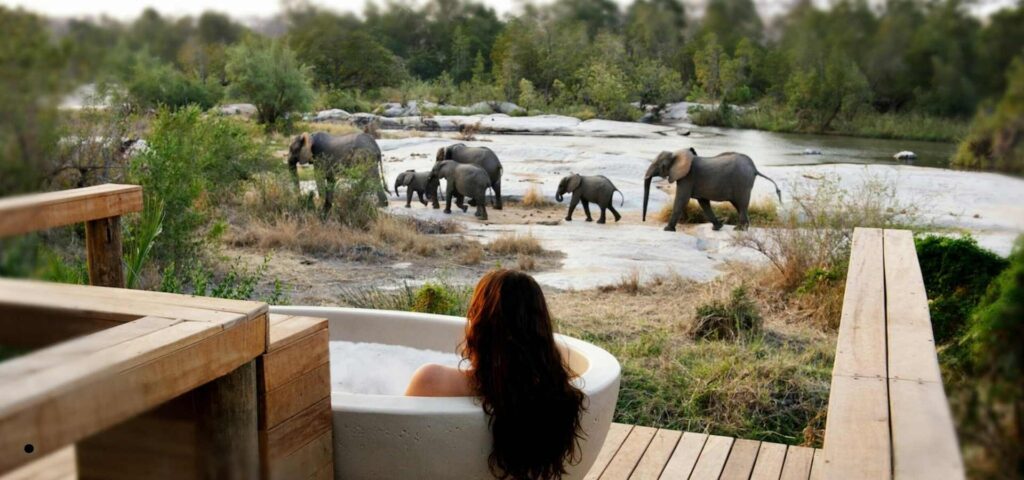 6 Days Romantic Tanzania Honeymoon Safari