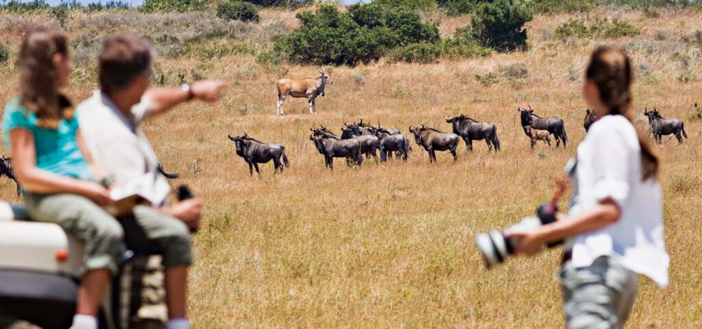 10 Days Tanzania Family Safari & Zanzibar Holiday