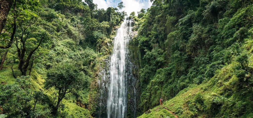Materuni Waterfalls & Coffee Tour