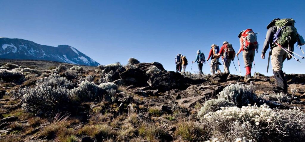8 Days Kilimanjaro Lemosho Route Climb