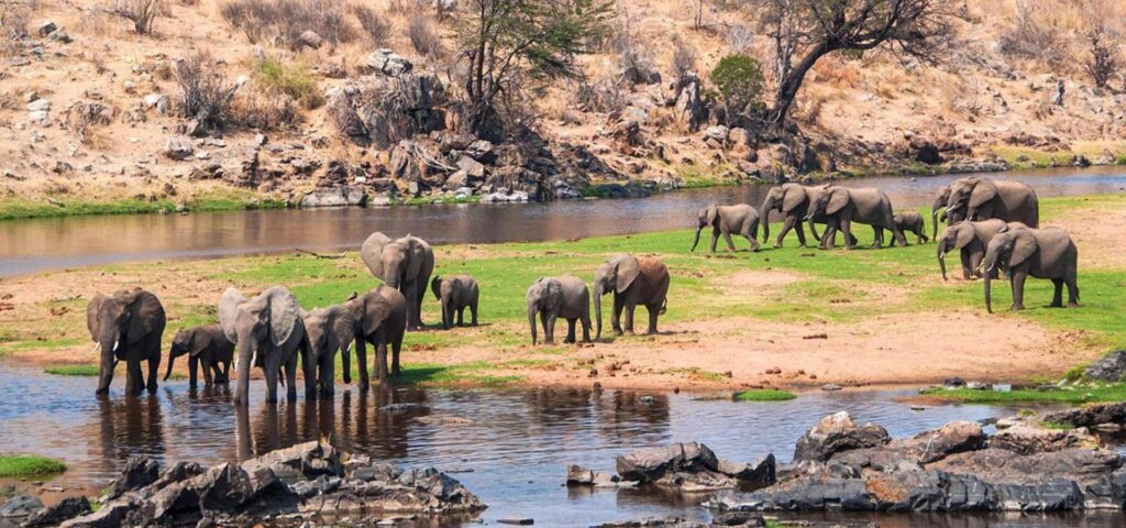 6 Days Ruaha National Park Safari
