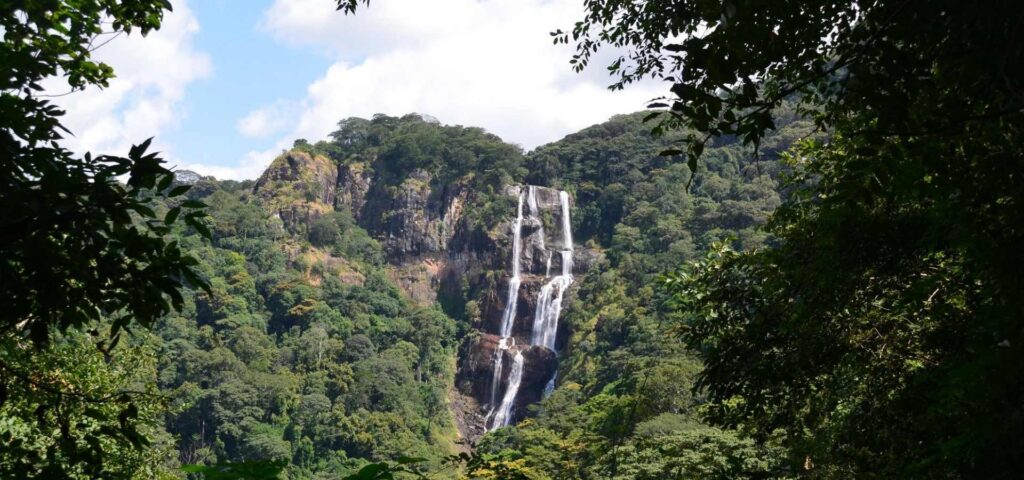 5 Days Mikumi & Udzungwa Mountains Safari