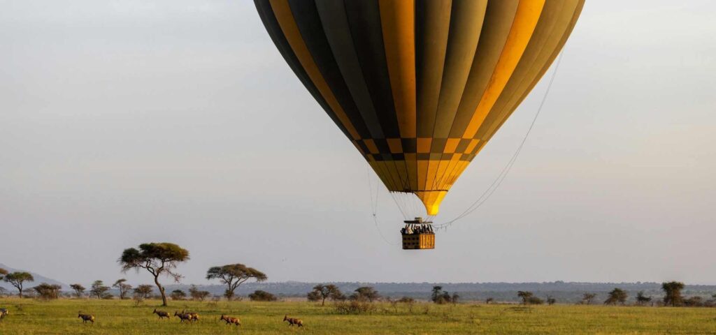 5 Days Serengeti Balloon & Big Five Safari