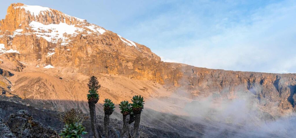 13 Days Kilimanjaro Lemosho Route Safari and Zanzibar Escape